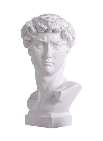Michelangelo's David Head Statue