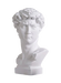 Michelangelo's David Head Statue
