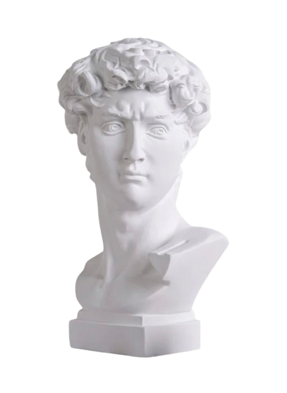 Michelangelo's David Head Statue
